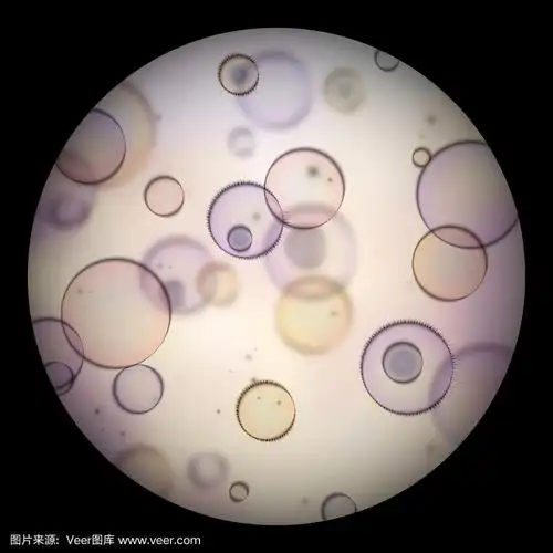 显微镜下的细菌