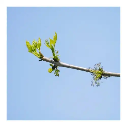 就会,他们会一直爱着所爱的人,他们希望和对方生活在一起,而不是从别