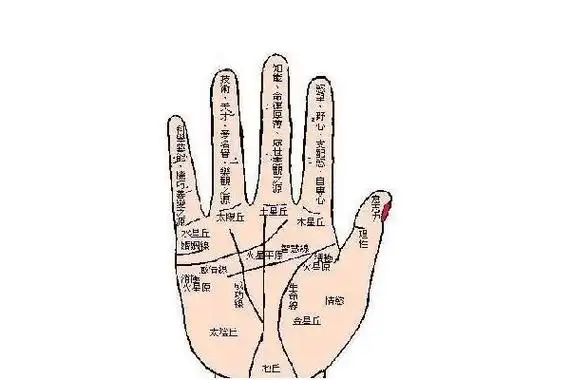 女人手相看哪只手_女人手相看哪只手_女人手相看哪只手