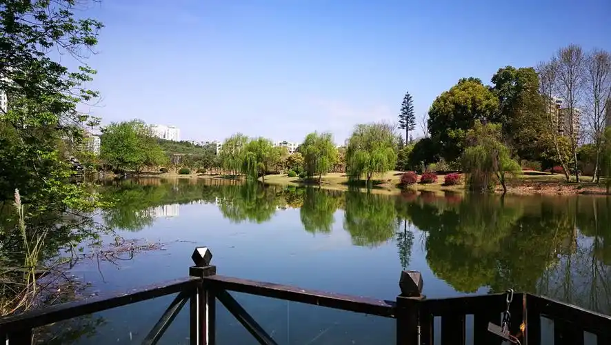 小岛公园开心游