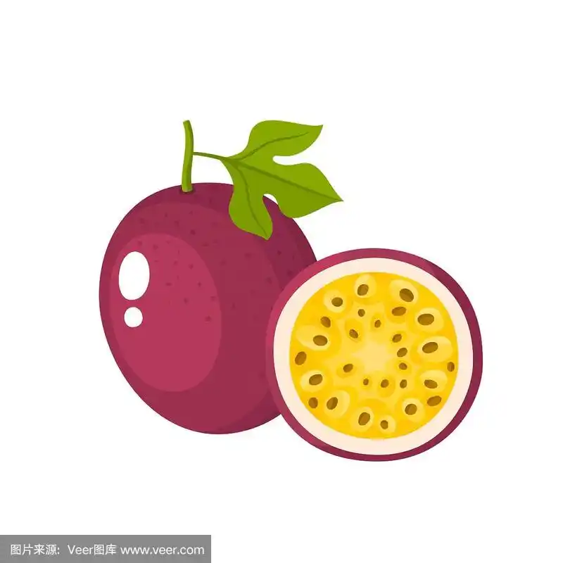 明亮的矢量插图的新鲜百香果孤立在白色