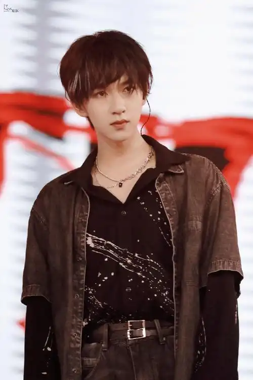 贺峻霖 画报颜值