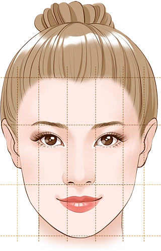 三庭五眼比例图