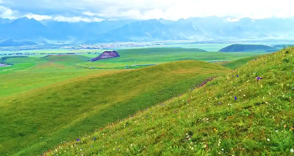 生态科学考察系列报道八青藏高原绿水青山之祁连山农牧区