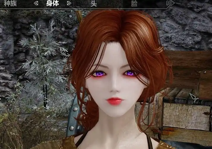 上古卷轴5:天际 主角美化 捏脸存档(一纸休书)_26 截图