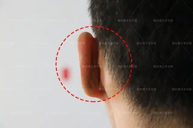 耳朵反骨的人也反骨吗?_腾讯新闻