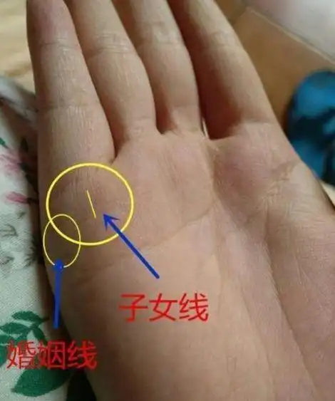 手纹分叉矛盾多长短不一有别离感情不顺的手相