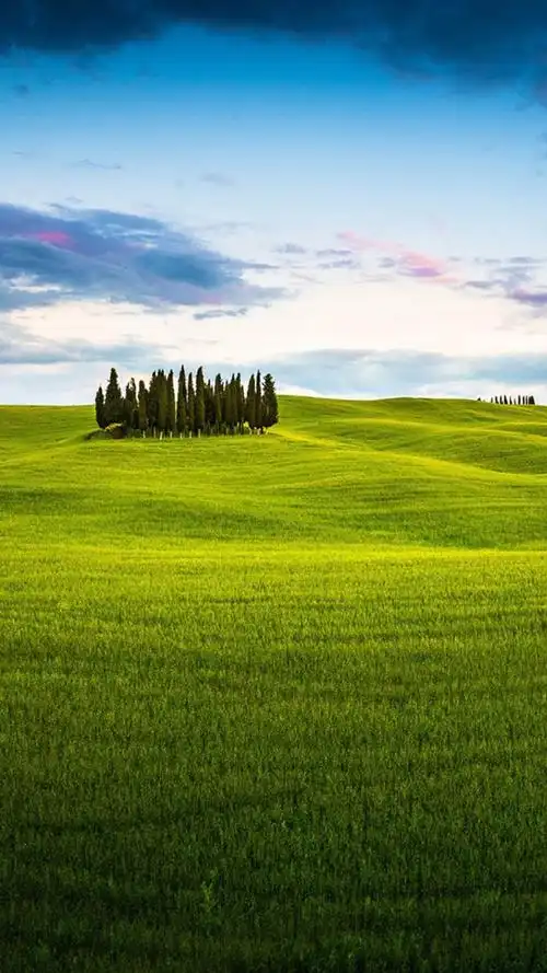 养眼蓝天白云草原风光iphone壁纸