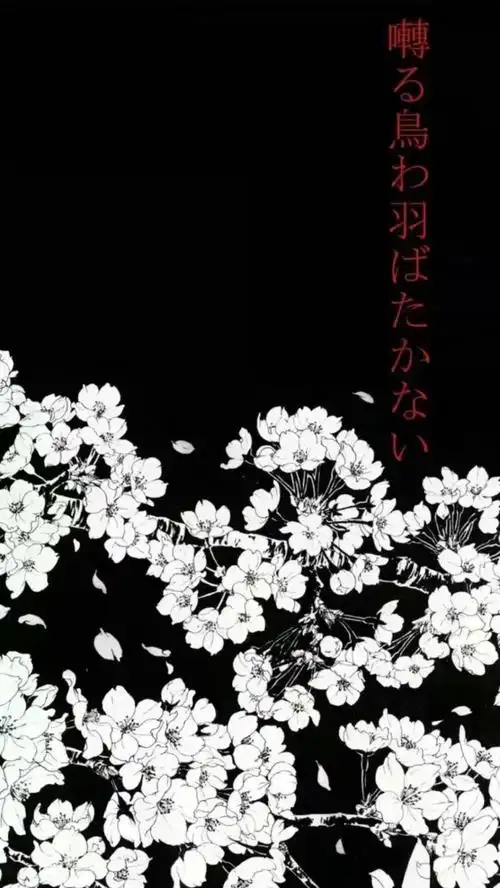 手机高清壁纸暗黑简约a屏福利