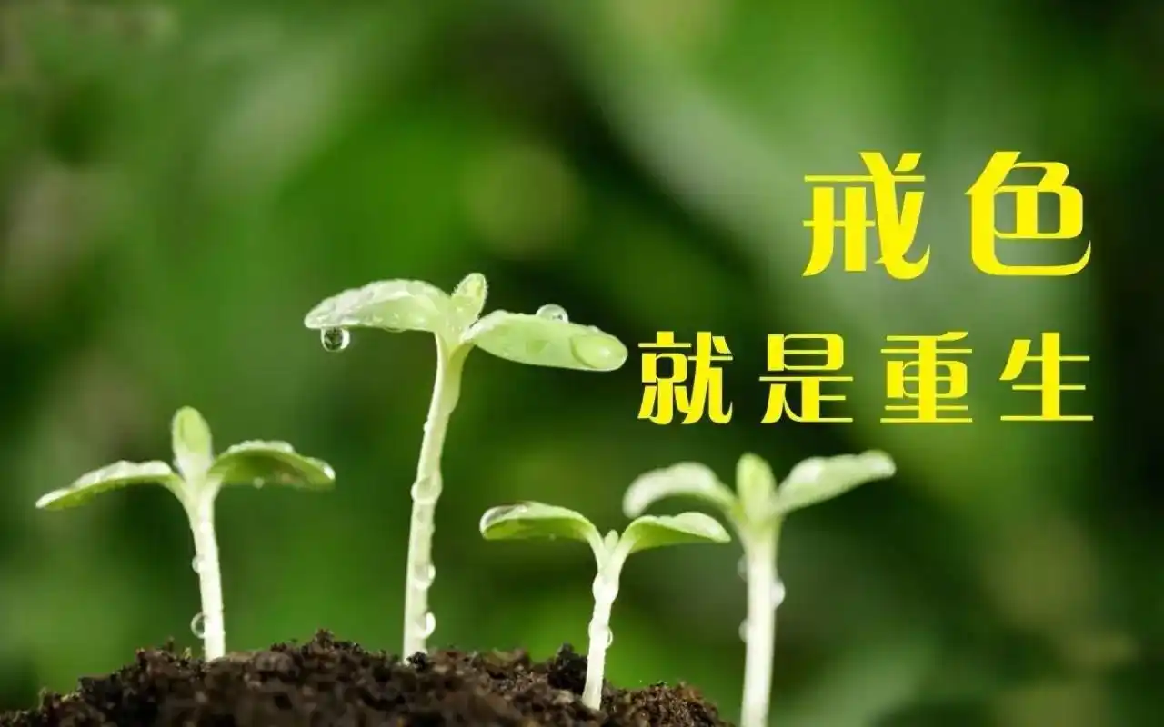 "戒色"为什么需要长期坚持?