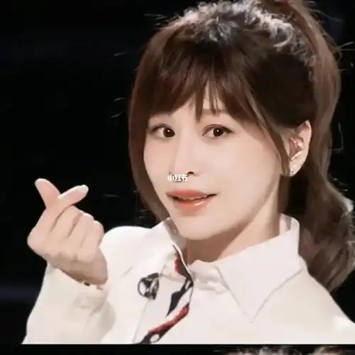 王心凌小头像练习3100