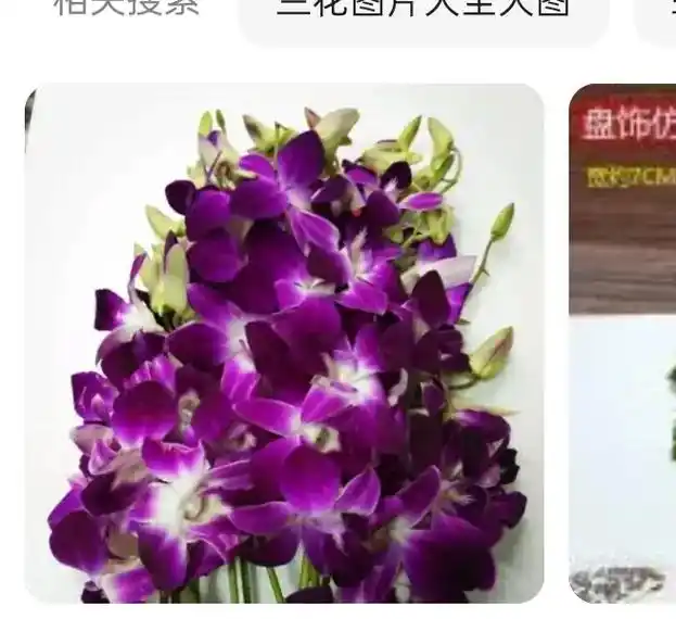 盘点缀西餐酒店火锅真它 摆盘兰花图片大全 相关搜索 盘饰仿真 - 抖音