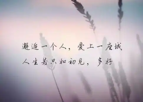 半夜适合发的伤感说说