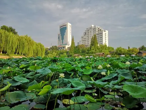 郑州紫荆山风光 - 美篇