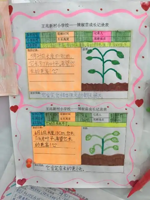 28所中小学远程同步种植活动落幕