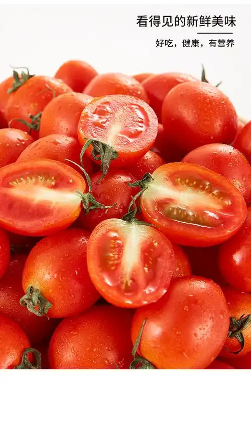 釜山88千禧玲珑小番茄圣女果甜小西红柿新鲜迷你番茄6斤装