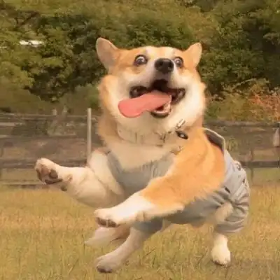 做个俗人,理智到绝望,自由为一生_卡通动漫头像_我要个性网