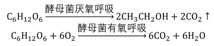 酵母菌有氧呼吸与无氧呼吸酒精发酵产生的酒精有可能与其他有机酸合成