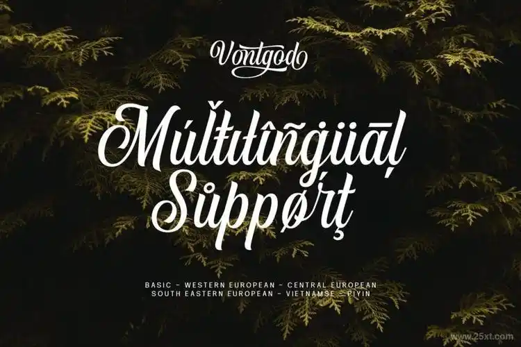 优雅迷人的英文花体字体vontgod