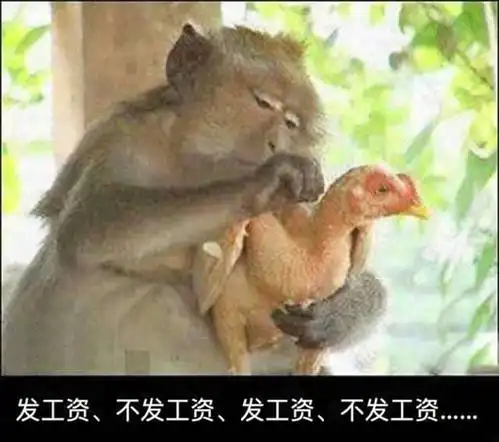 猴子拔鸡毛qq表情猴子拔鸡毛表情包高清无水印