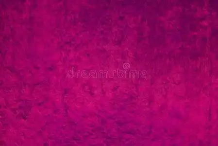 抽象的粉红色的紫色的倒挂金钟属植物奢侈丝绒背景.