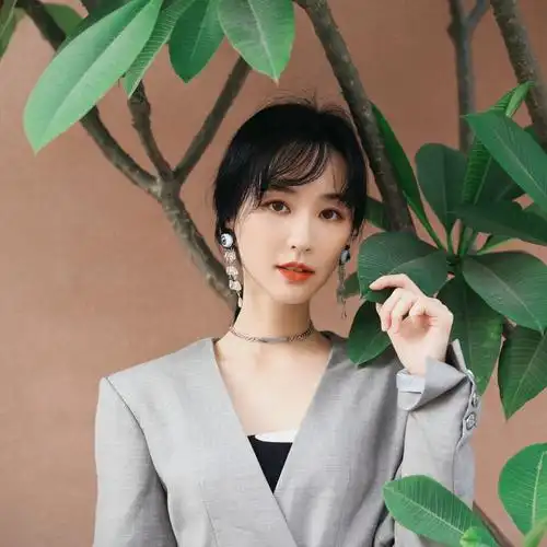 吴佳尼个人资料介绍-京广航影视