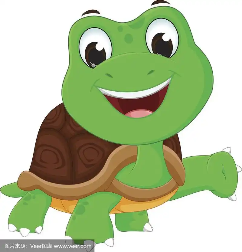 龟,卡通,龟壳,海龟,可爱的
