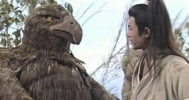 杨过与雕是什么梗 杨过与雕梗介绍