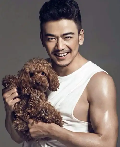 回顾杨烁从顶级男神到受人唾弃他是如何走向堕落的