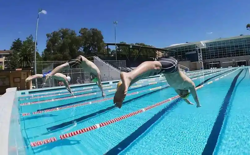 游泳不能缺少的基本功!_身体_初学者_时间