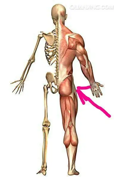 我的大腿这个位置痛是什么回事