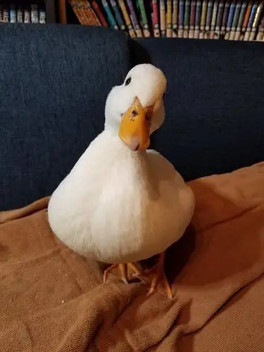 这样的歪头杀▼