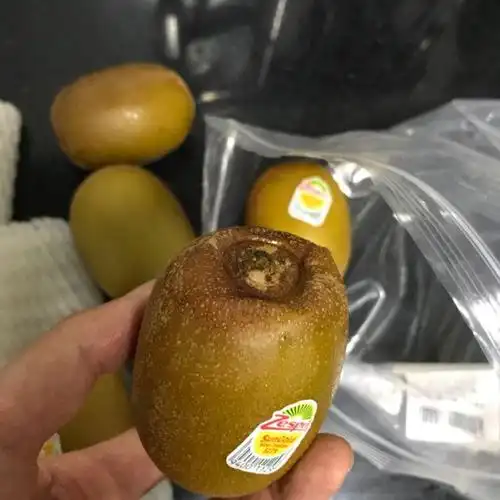 zespri佳沛新西兰阳光金奇异果6个114-134g/个 进口猕猴桃 新鲜水果