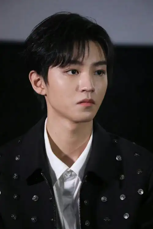 王俊凯断桥见面会生图