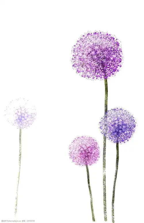 手绘美丽水彩蒲公英png透明素材