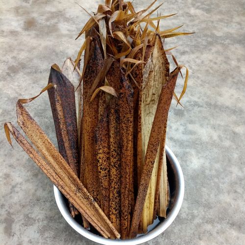 四川长宁黄粑叶天然野生毛竹笋壳30张端午粽子叶楠竹笋壳叶30张