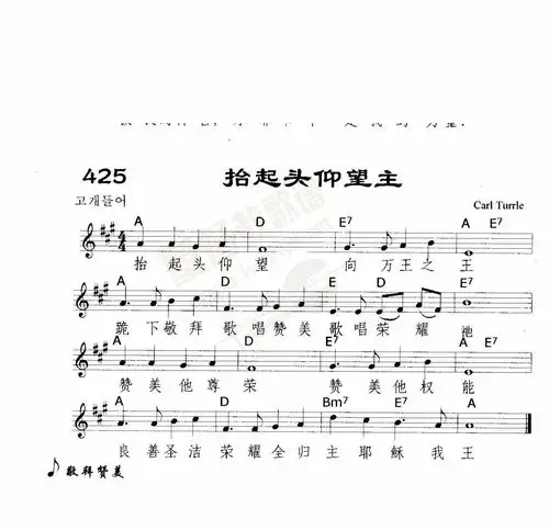 下载425抬起头仰望主歌谱