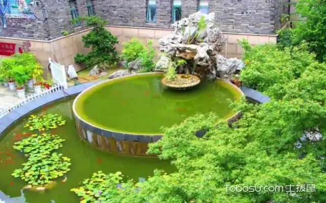庭院水池设计图