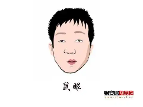鼠眼面相图解