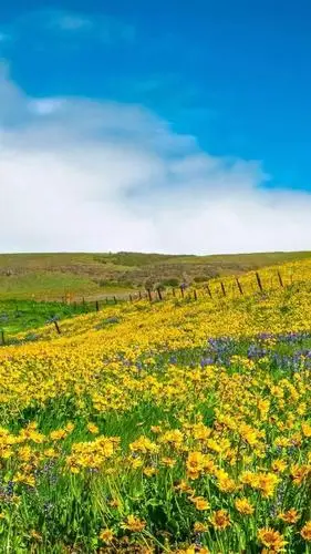 唯美的山水风景微信头像能带来好运的美景