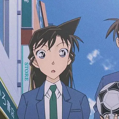 名侦探柯南|新一×小兰