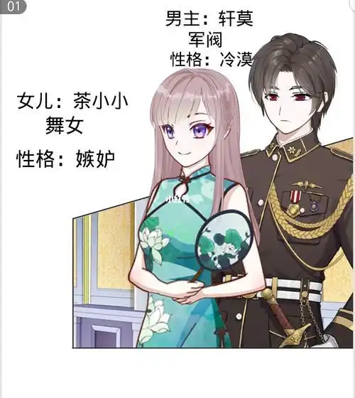 军阀太太什么梗