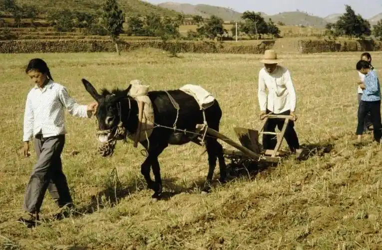 历史1970年代怀旧老照片历史考古文章小虾米