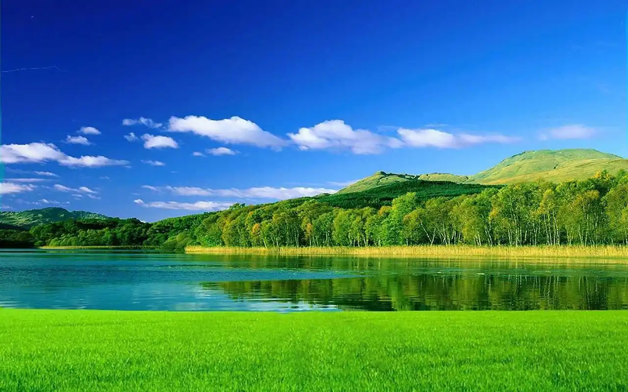 清新护眼绿色风景图片高清壁纸