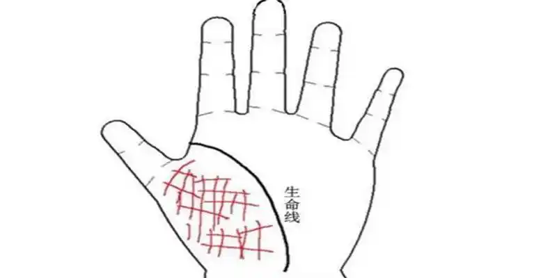 生命线分叉代表什么(生命线分叉连接命运线)