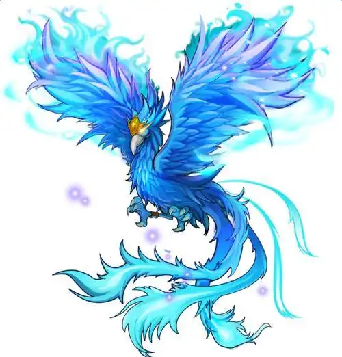 q版凤凰头像_第1页