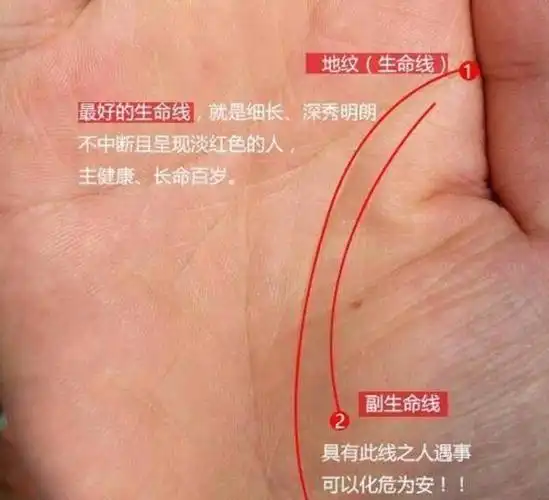 手相生命线有长有短长者长命百岁有福短者身体挫折多多