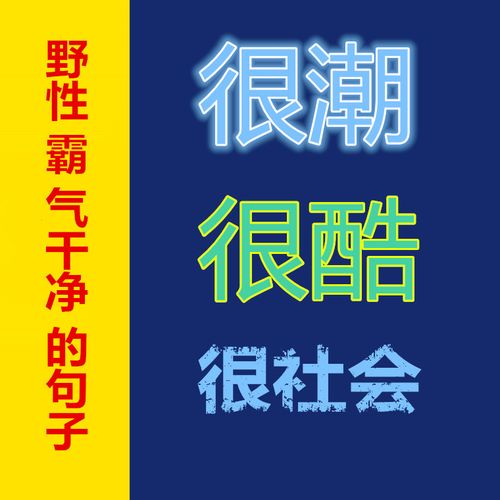 很潮很酷的句子 很拽的文字 霸气潇洒句子 野性霸气干净社会句子