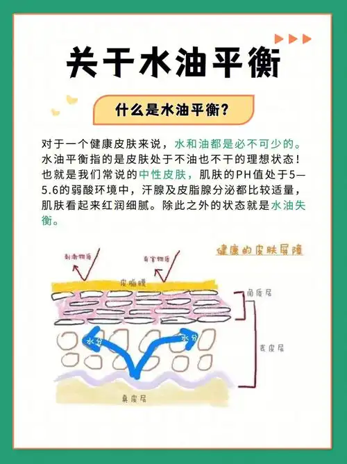 护肤科普关于水油平衡