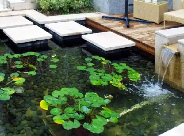 最美六款庭院小水池设计图片